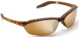 Native Hardtop Sunglasses
