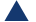 Triangle Face Shape