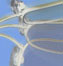 Guide to Flexon Eyewear from FramesDirect.com