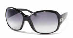 Ralph Lauren sunglasses RL 8001