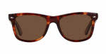 Ray Ban RB 2113 Wayfarer With Flex Sunglasses