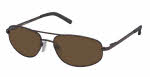 Carrera 904/S/G (Regular Hinge) Sunglasses