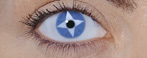 Wild Eyes Contact Lenses in Icefire