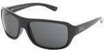 D G DD 8049 Sunglasses