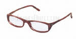 D G DD 4161 eyeglasses eyewear