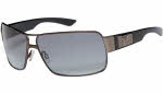 Fox Meeting  Sunglasses