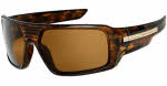Fox Study Sunglasses