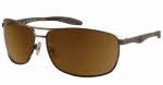 Gargoyles Interval Sunglasses