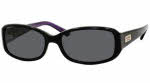 Kate Spade Paxton/N/S Sunglasses