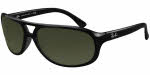 Ray Ban RB 4124 Sunglasses