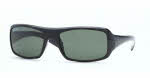 Ray Ban RB 4073 Sunglasses