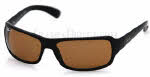 Ray Ban RB 4075 Sunglasses