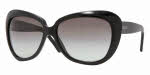 Vogue 2607S Sunglasses