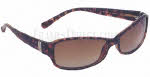 Angel Livvy Sunglasses