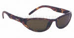 Angel Vixen Sunglasses
