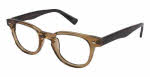 goldfinch-G001-Buddy-eyeglasses-Havana-tort.jpg