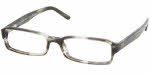 Polo PH 2024 Eyeglasses Eyewear