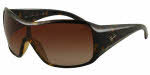 Ray Ban 4087 Sunglasses