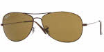 Ray Ban 3362 Cockpit Sunglasses
