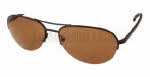 Ted Baker B403 Brewer Sunglasses