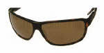 Ted Baker B408 Gittes Sunglasses