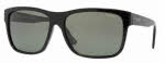 Versace VE 4179 Sunglasses