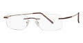 Matte Brown/Gold Temples(BRN)