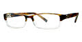 Tort Clear(024)