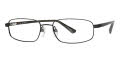 Black(BLK) - Gray Lenses