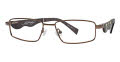 Pretty Pecan(PPEC) - Brown Lenses
