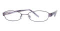 PURPLE(095)