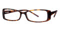 Tortoise(024)