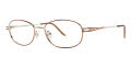 GOLD BROWN(C02)