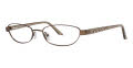 BROWN/BROWN(C01)