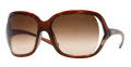 101/13 Light Brown/Brown Gradient lenses