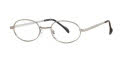 Gray(C008)