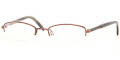 202 Brown Tortoise