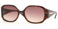 1510/33 Dark Tortoise-Brown Fade / Red Gradient Brown lenses