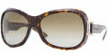 300213 Tortoise / Brown Gradient