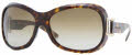 300213 Tortoise / Brown Gradient