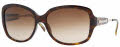 300213 Tortoise / Brown Gradient
