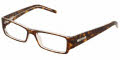 556 Havana on Transparent 