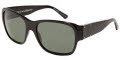 501/31 Shiny Black / Gray lenses