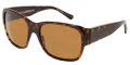 502/33 Havana / Brown lenses