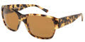 512/33 Light Havana / Brown lenses