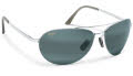 210-17 Silver / Grey Polarized lens