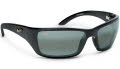 208-02 Gloss Black / Grey Polarized Lens