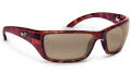 H208-10 Tortoise / HCL Bronze Polarized lens