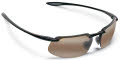 H409-02 Gloss Black / HCL Polarized lens