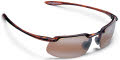 H409-10  Tortoise/Bronze Polarized lens